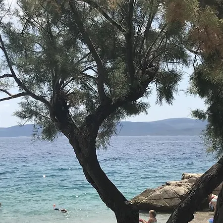 Zdravka * Lokva Rogoznica